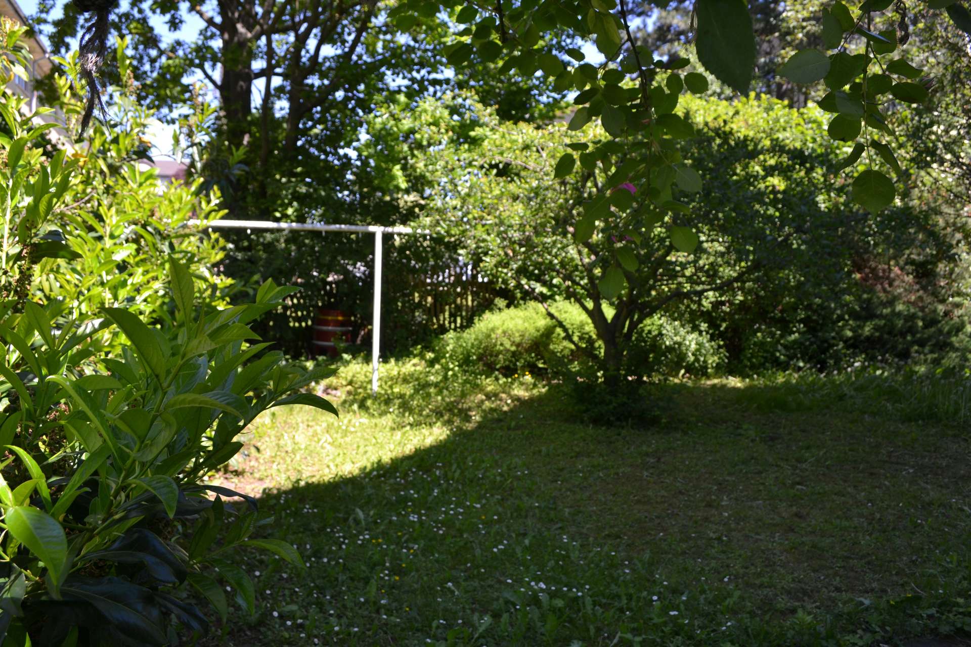 Garten 1